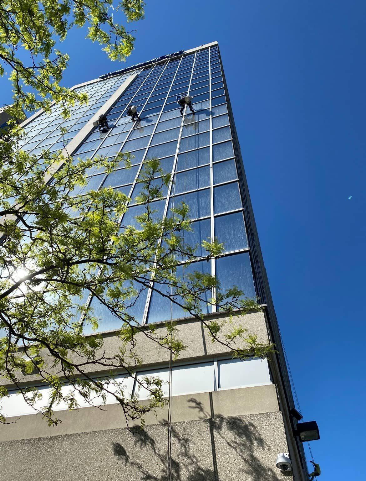 A picture of a skyscraper, taken from the ground looking up. There are three people window cleaning on the side of the building attached by ropes.