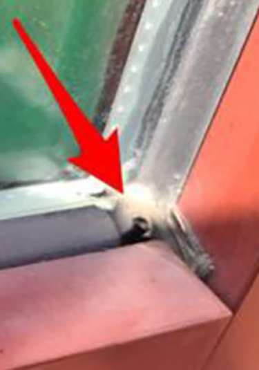 Before window sealant replacement