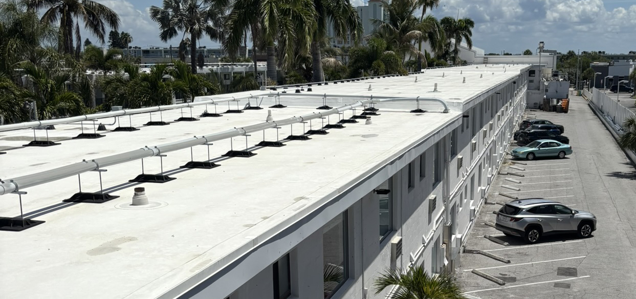 low slope roof with palm trees